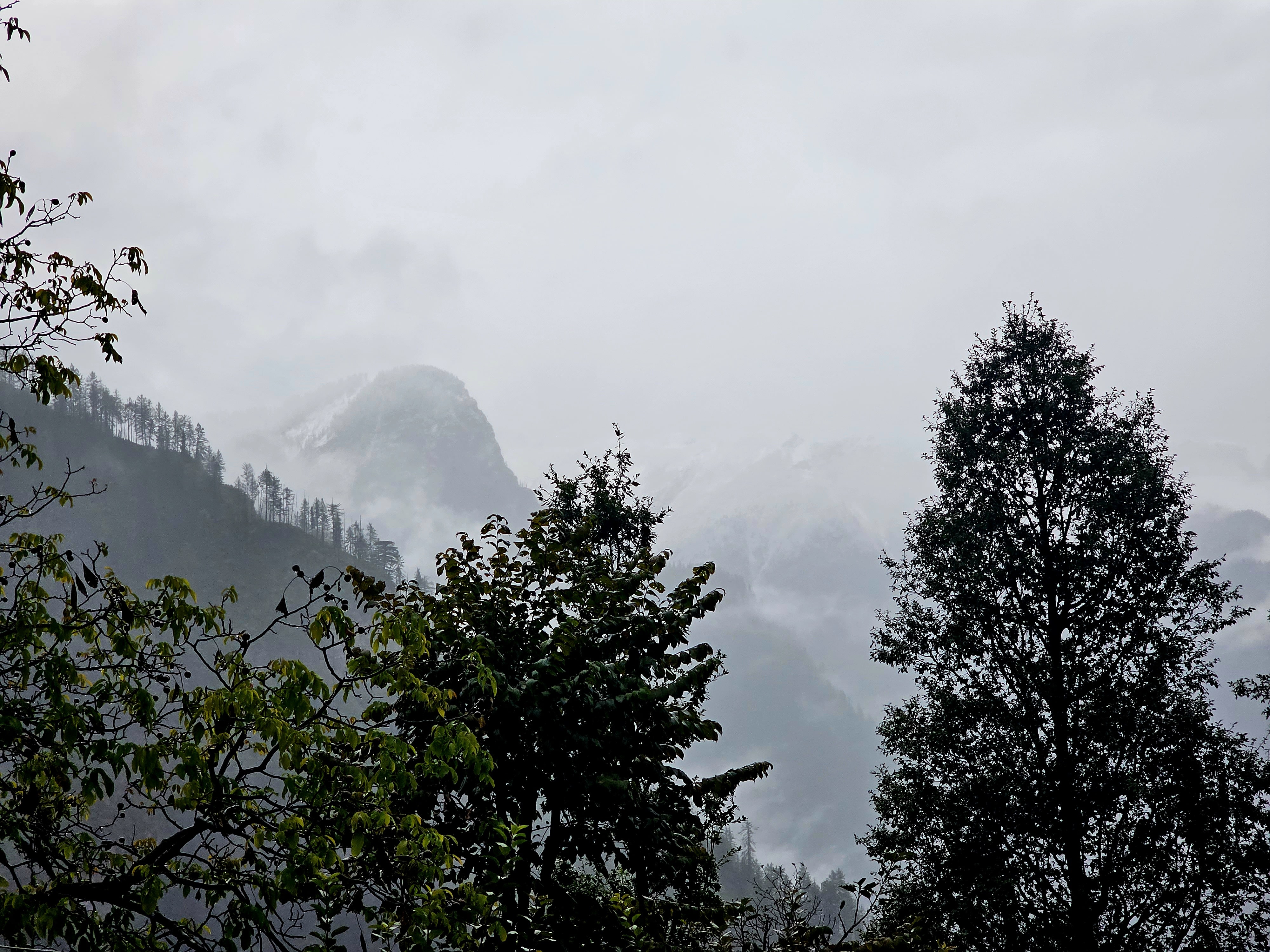 Morning view from Jakha