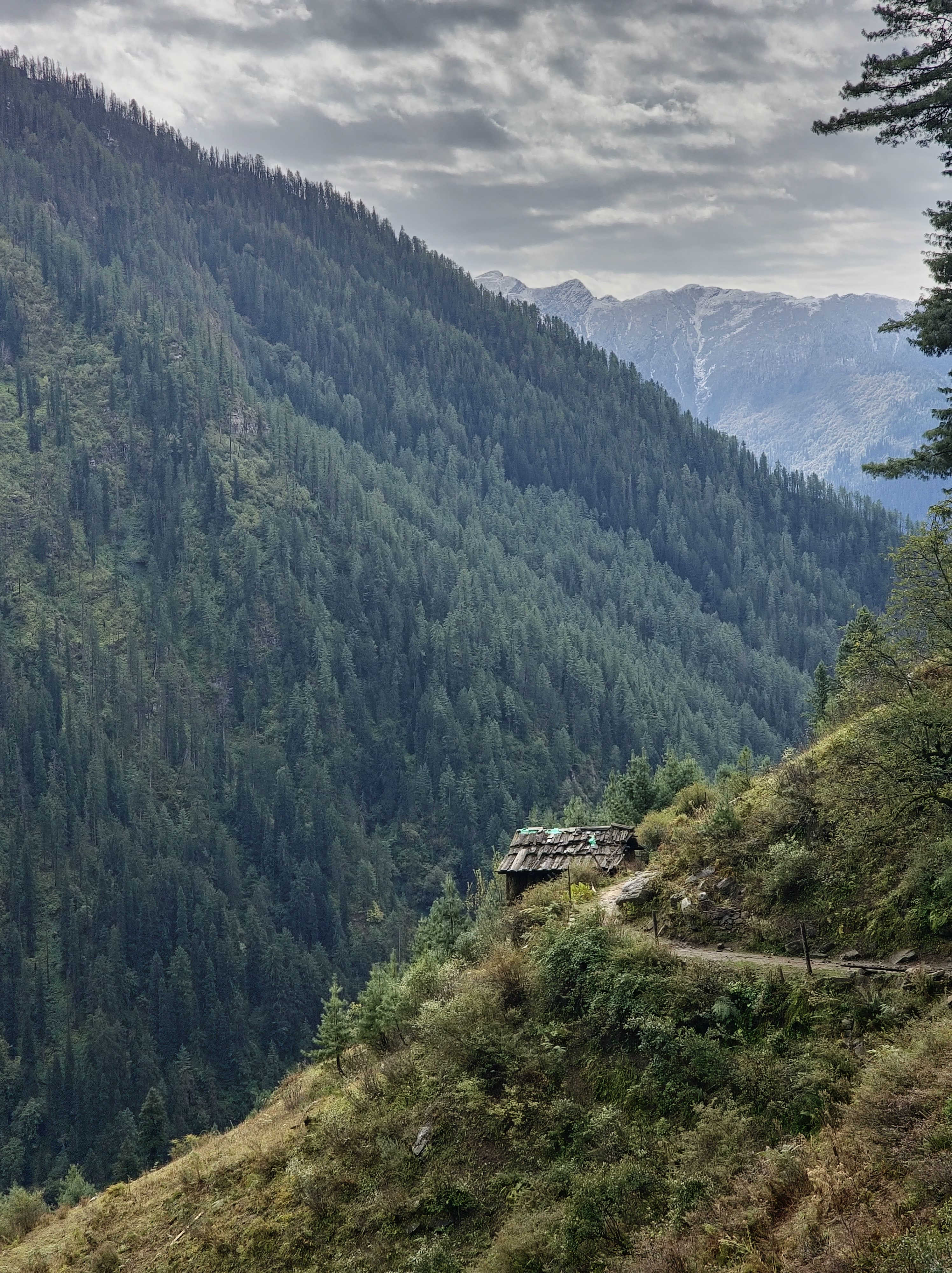 Abandoned hut a little away from